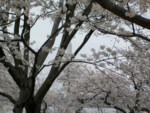 9th-Grade Field Trip: Washington, D.C. (2011)