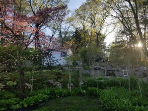 A New England Garden