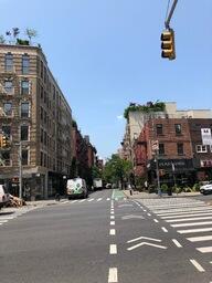 Rooftop Foliage in Manhattan