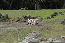 San Francisco Zoo Exhibits