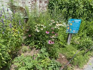 Flora and Fauna at the North Carolina Zoo