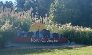 A Trip to the North Carolina Zoo
