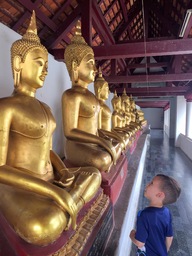 Row os buddha statues at Wat Prasri Mahathat, Phitsanulok, Thailand