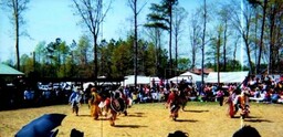 Male dancers in northern traditional style regalia, evident by the brown feathers worn on the back and head. These dancers are performing at the annual spring pow-wow, a celebration and preservation of heritage. 