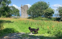 Early 16th century tower belonging to the O'Loughlin family. Featuring local tour guide.