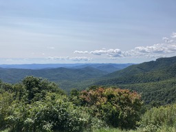 "In 1888, George and Edith Vanderbilt... purchased the land you see here. During this time, the southern Appalachian Mountains were in the midst of a major logging boom. At the time there were no land management or reforestation efforts in place and degradation of the land was starting to become apparent. The Vanderbilts saw a need to take action and asked Dr. Carl A. Schenck, a forestry educator from Germany, to help." Quoting the NPS, https://www.nps.gov/places/cradle-of-forestry-overlook.htm 