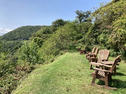 Rocking chairs below the main dining room, overlooking the Cradle of Forestry.