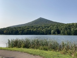 "One of the most popular trails is all of Virginia is the strenuous climb up to the rocky summit of Sharp Top Mountain (3,875 feet), This peak has attracted hikers for hundreds, if not thousands, of years. This 1.5 mile trail ascends 1,300 vertical feet through the forests on Sharp Top Mountain to spectacular 360° views of the Peaks of Otter and surrounding landscape." Quoting NPS, https://www.nps.gov/places/sharp-top.htm