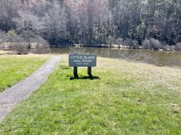 Little Glade Mill Pond Overlook sits at milepost 230.1. There are five picnic tables and a 0.4 mile loop around the pond. 