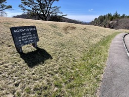 Alligator Back Overlook is at milepost 242.2 and sits at an elevation of 3,385 feet. It has access to Bluff Mountain Trail. 