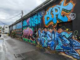 Alycia Alley runs behind a row of businesses in the artsy neighborhood of Avondale, West Ashley, Charleston. This artwork was photographed in Alycia Alley and painted by an unknown artist on the rear wall of Anne Bonny's Lash & Skin Boutique. Anne Bonny's is located at 829 Savannah Highway. The stretch of graffiti-style art contains at least nine independent pieces of lettering, all in vivid colors. 