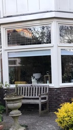 A small cat peering out of a window somewhere in the Netherlands.