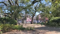 Louis Armstrong Park and Congo Square