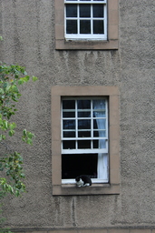 A cat sitting on a windowsill at a home in Edinburgh, Scotland. This area of Edinburgh is near the Roman Ruins located on top of Calton Hill. 