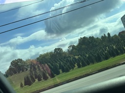 In Greentown, Ohio on Cleveland Ave, there is a Christmas tree area. During the year you can see them all grow. During the holidays, you can ride by and get a tree, while seeing them all lit up. 