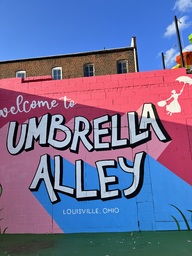 Umbrella Alley is a new attraction in Louisville, Ohio. In a brightly painted alley, umbrellas are hung up above. A mural for all to admire as well as places to sit and chat.