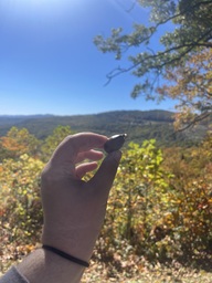 A chestnut oak tree acorn found North Cover Overlook on the Blue Ridge Parkway. The acorn is beginning to sprout.