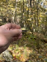 A sticker found on the Flat Rock trail off of the Blue Ridge Parkway. The sticker says "OPEN" with arrows on either side and is presumably from a water bottle.